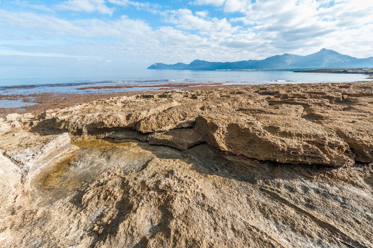 Vila Ombra De Pins Son Serra de Marina Exteriér fotografie